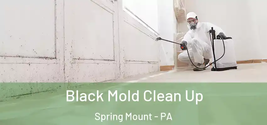 Black Mold Clean Up Spring Mount - PA