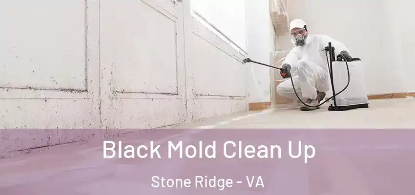  Black Mold Clean Up Stone Ridge - VA