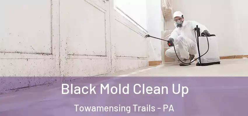 Black Mold Clean Up Towamensing Trails - PA