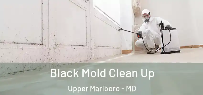Black Mold Clean Up Upper Marlboro - MD
