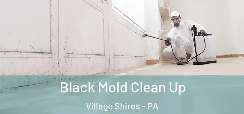 Black Mold Clean Up Village Shires - PA