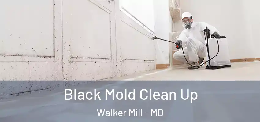 Black Mold Clean Up Walker Mill - MD