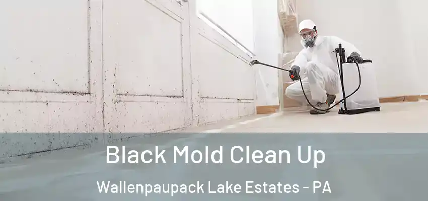 Black Mold Clean Up Wallenpaupack Lake Estates - PA