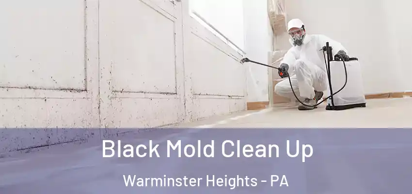 Black Mold Clean Up Warminster Heights - PA