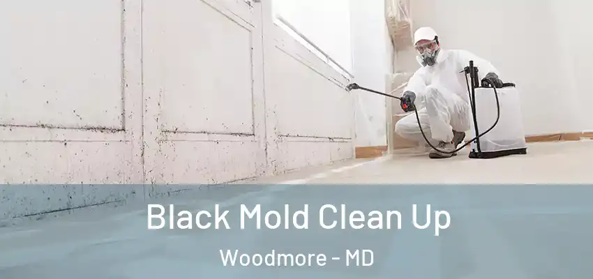 Black Mold Clean Up Woodmore - MD