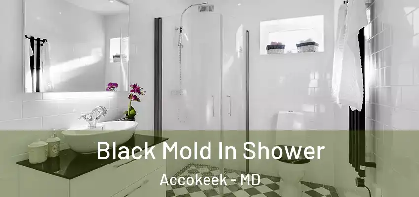 Black Mold In Shower Accokeek - MD