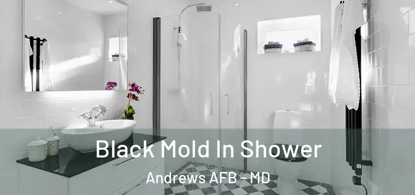  Black Mold In Shower Andrews AFB - MD
