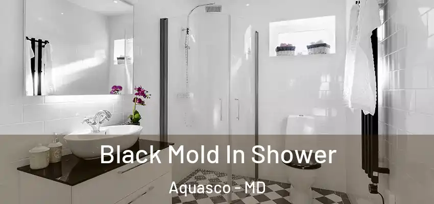  Black Mold In Shower Aquasco - MD