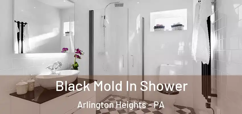  Black Mold In Shower Arlington Heights - PA