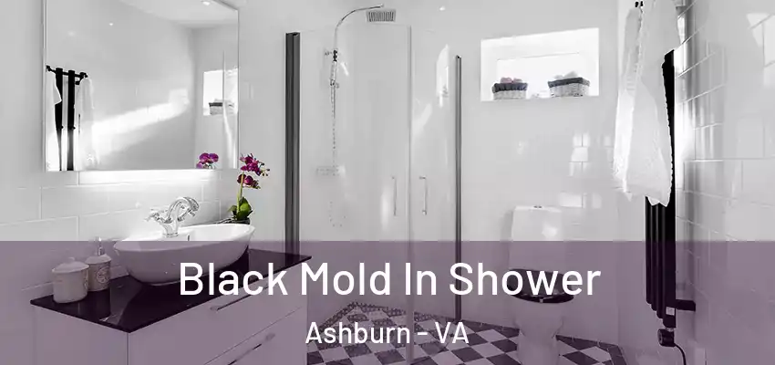  Black Mold In Shower Ashburn - VA