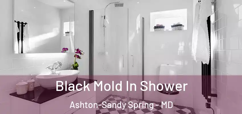  Black Mold In Shower Ashton-Sandy Spring - MD