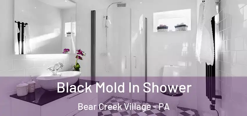  Black Mold In Shower Bear Creek Village - PA