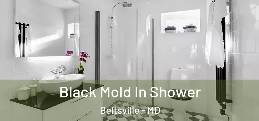  Black Mold In Shower Beltsville - MD