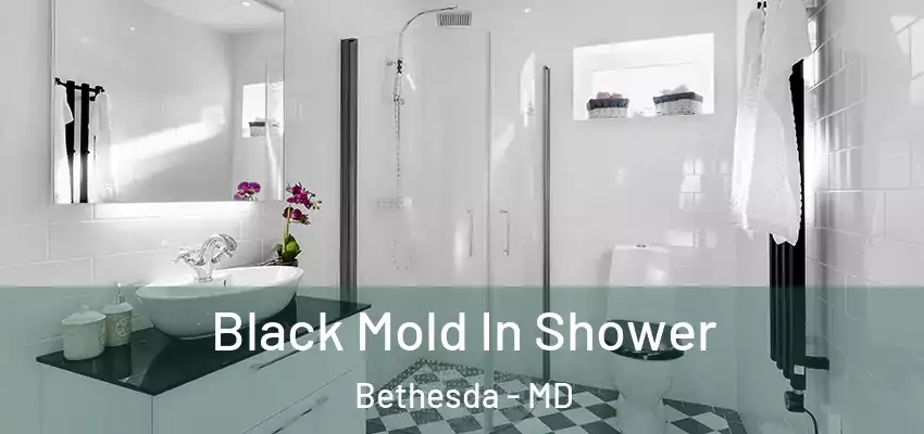  Black Mold In Shower Bethesda - MD