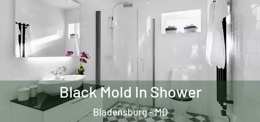  Black Mold In Shower Bladensburg - MD