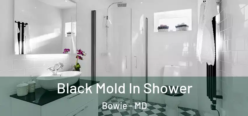  Black Mold In Shower Bowie - MD