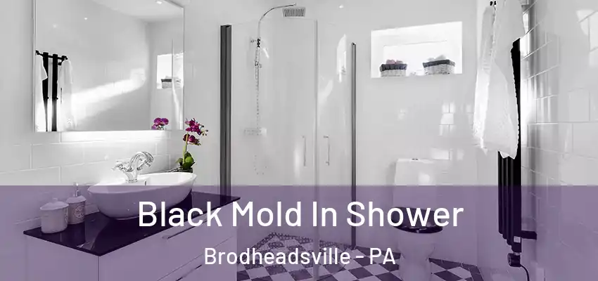  Black Mold In Shower Brodheadsville - PA