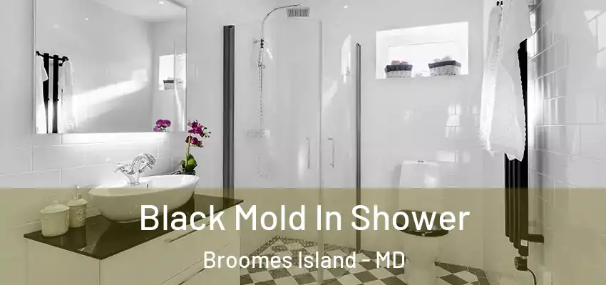  Black Mold In Shower Broomes Island - MD