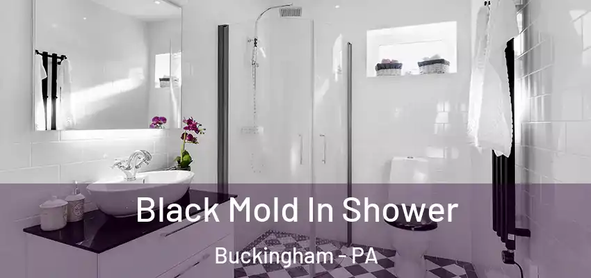  Black Mold In Shower Buckingham - PA