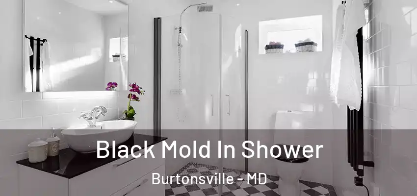  Black Mold In Shower Burtonsville - MD