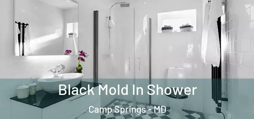 Black Mold In Shower Camp Springs - MD