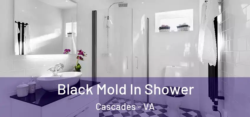  Black Mold In Shower Cascades - VA