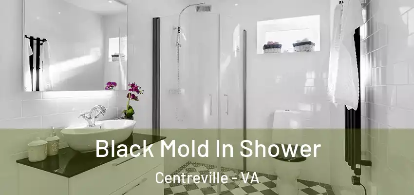  Black Mold In Shower Centreville - VA