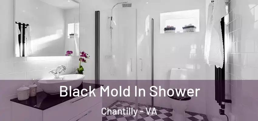 Black Mold In Shower Chantilly - VA