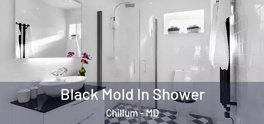  Black Mold In Shower Chillum - MD