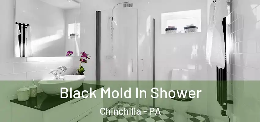  Black Mold In Shower Chinchilla - PA