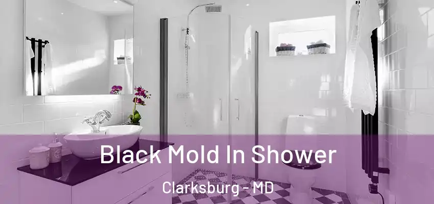  Black Mold In Shower Clarksburg - MD