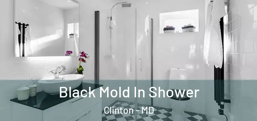  Black Mold In Shower Clinton - MD