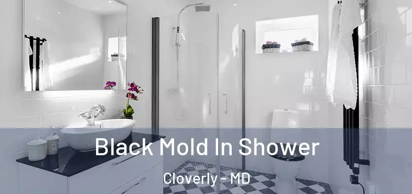  Black Mold In Shower Cloverly - MD