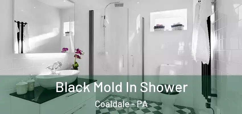  Black Mold In Shower Coaldale - PA