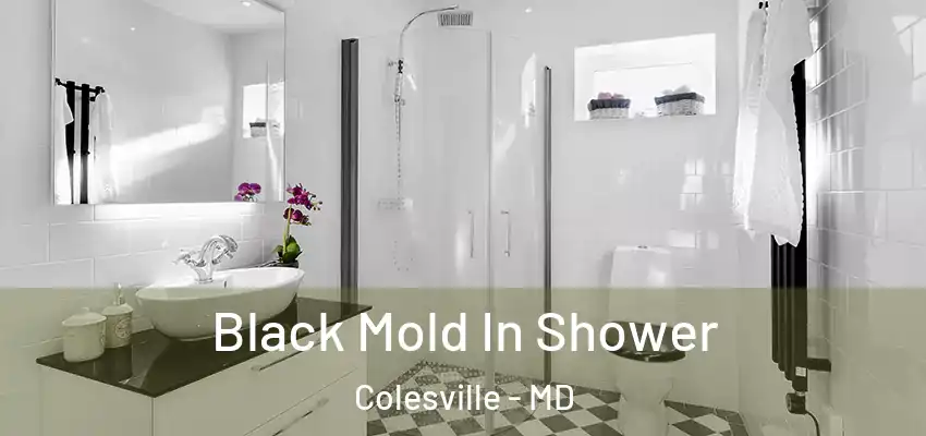  Black Mold In Shower Colesville - MD