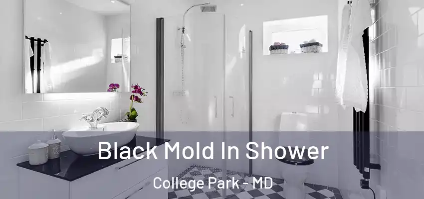  Black Mold In Shower College Park - MD