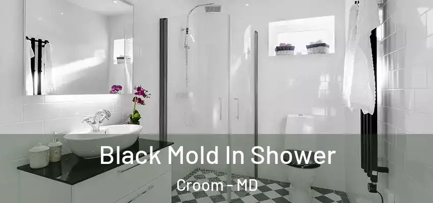  Black Mold In Shower Croom - MD