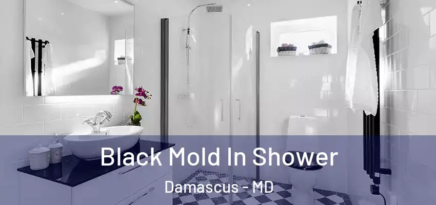  Black Mold In Shower Damascus - MD