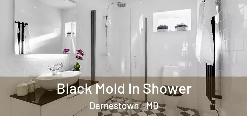 Black Mold In Shower Darnestown - MD