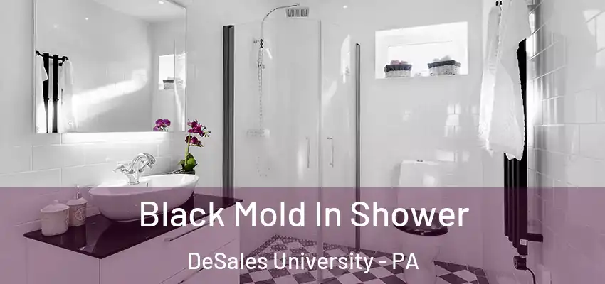 Black Mold In Shower DeSales University - PA