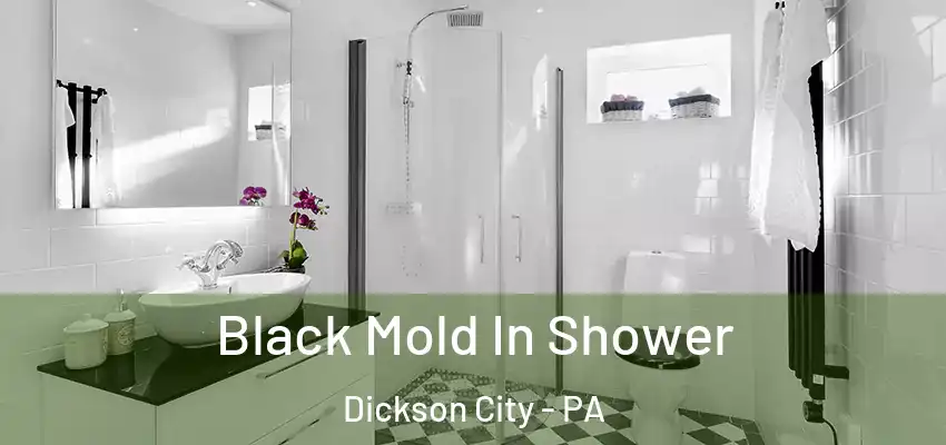  Black Mold In Shower Dickson City - PA