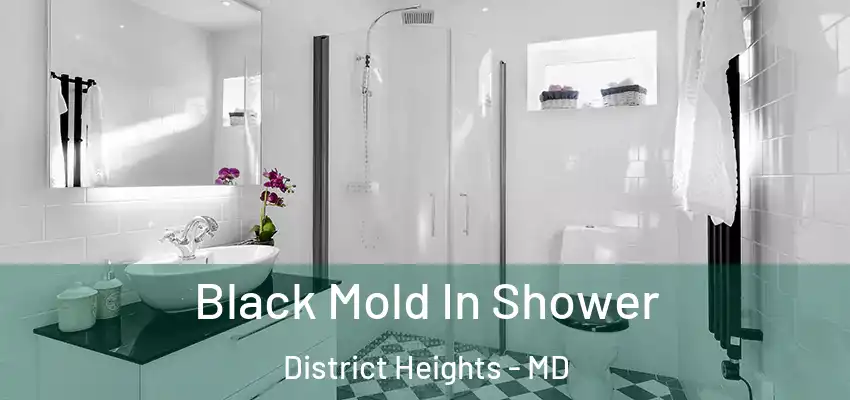 Black Mold In Shower District Heights - MD