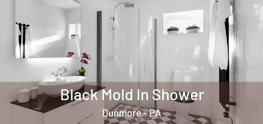 Black Mold In Shower Dunmore - PA