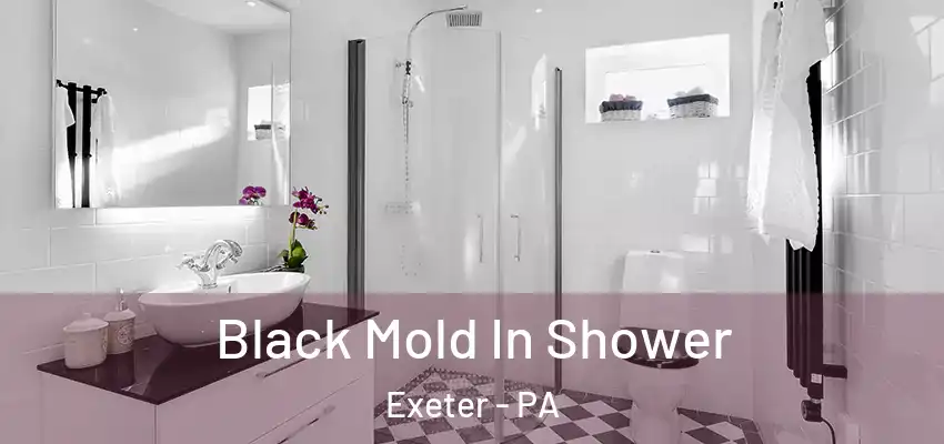 Black Mold In Shower Exeter - PA