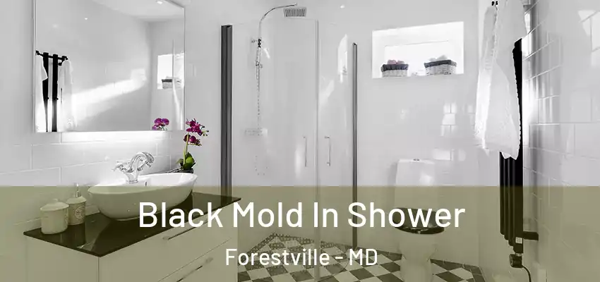 Black Mold In Shower Forestville - MD