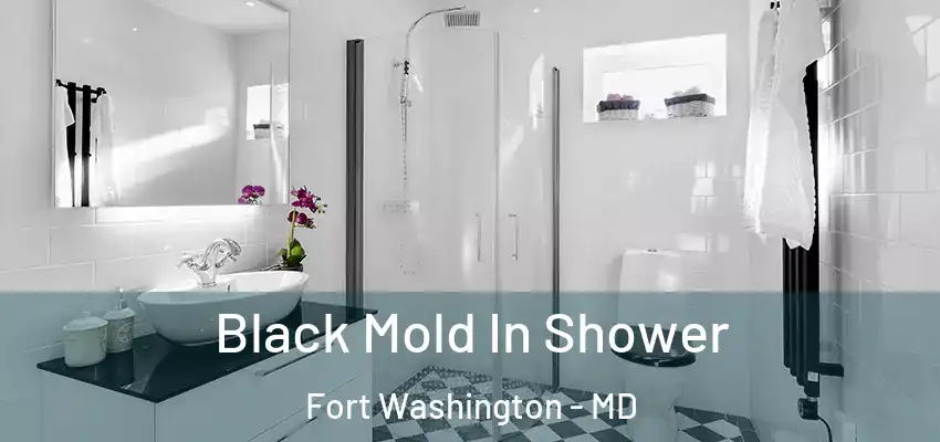  Black Mold In Shower Fort Washington - MD