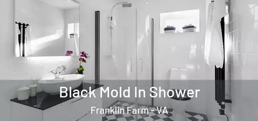 Black Mold In Shower Franklin Farm - VA