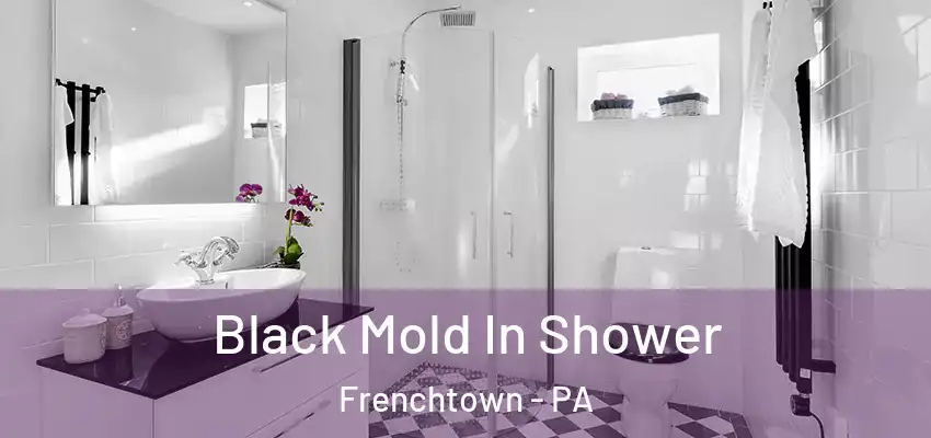 Black Mold In Shower Frenchtown - PA