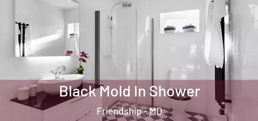 Black Mold In Shower Friendship - MD