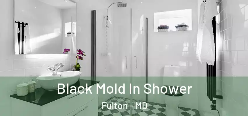 Black Mold In Shower Fulton - MD